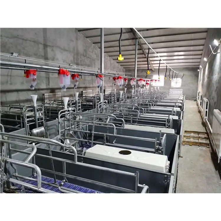 Gut gemachte Piggery Equipment Automatische Schweine farm Sau Cage Erhöhte Abferkel kiste