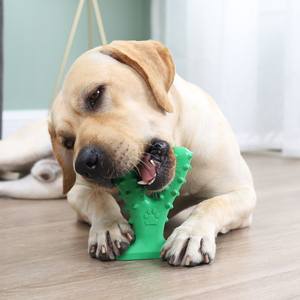 2021 moda 12 paketleri dayanıklı yıkanabilir köpek <span class=keywords><strong>Chew</strong></span> interaktif pamuk ipi oyuncak seti - Product Image 5