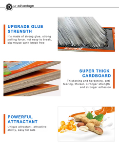 Pièges à colle pliables non toxiques pour souris et rats, usage intérieur/extérieur, lutte contre les rongeurs - Offre Spéciale - Product Image 5