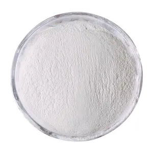 100000-200000 Viscosité Hydroxypropylméthylcellulose matières premières chimiques HPMC pour mastic de mur de mortier