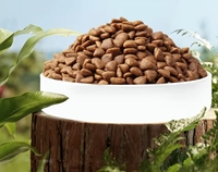 Nourriture sèche pour chiens au goût de morue naturelle 10KG, haute teneur en protéines, nutrition complète, pour toutes les races, chiots et chiens adultes, vente en gros, personnalisable