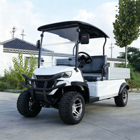 Voiture de plage électrique écologique à batterie lithium 5 kW, 5-6 places, tout-terrain, avec gros pneus et suspension indépendante avant