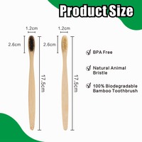 Écologique biodégradable boîte Kraft naturelle brosse à dents bambou avec crins cheval ou soies sanglier premium