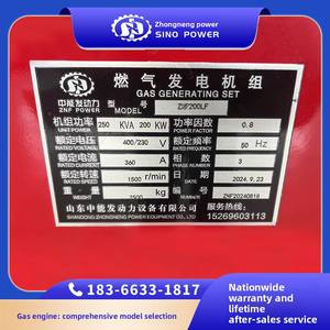 200kw 6 Silindirli Sıralı <span class=keywords><strong>LPG</strong></span> Jeneratör Seti, Su Soğutma Sistemli Açık Gövde 50 Hz ATS - Product Image 3