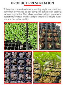 Sembradora automática de bandeja de <span class=keywords><strong>semillas</strong></span> de venta directa de fábrica adecuada para todo tipo de verduras lechuga repollo cebolla sembradora de <span class=keywords><strong>semillas</strong></span> de calabaza - Product Image 4