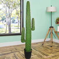 En Stock 143CM de hauteur en plastique herbe Cactus Design de luxe haute assurance Tropical artificiel PE Cactus pour paysage décoratif