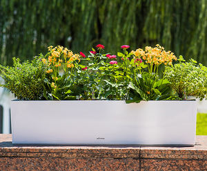 Nouveaux pots à succulentes, pots à fleurs en plastique auto-arrosants, balcon, culture de légumes, culture de fleurs, grand bac à plantes rectangulaire - Product Image 3