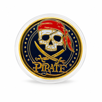 Pièce de monnaie Pirate Crossbones 2026 plaquée or en fer, design unique avec boîtier de présentation en acrylique