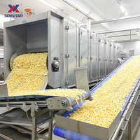 Ligne de production complète clé en main de frites surgelées 7000 kg/h, ensemble complet de machines automatiques de transformation des pommes de terre frites