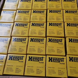 Xe tải động cơ lọc dầu Lọc nhiên liệu e500kp02d36 e422h03d86 cho <span class=keywords><strong>hengst</strong></span> động cơ ô tô - Product Image 5