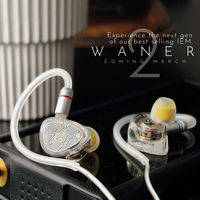 TangZu Waner II pilote dynamique IEM moniteur intra-auriculaire écouteurs filaires HiFi Audiophile musique casque écouteurs