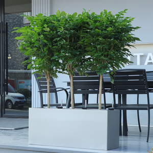 Maceta y macetas grandes y altas de Venta caliente, maceta rectangular para plantas de flores para jardín y patio, moderna () - Product Image 6