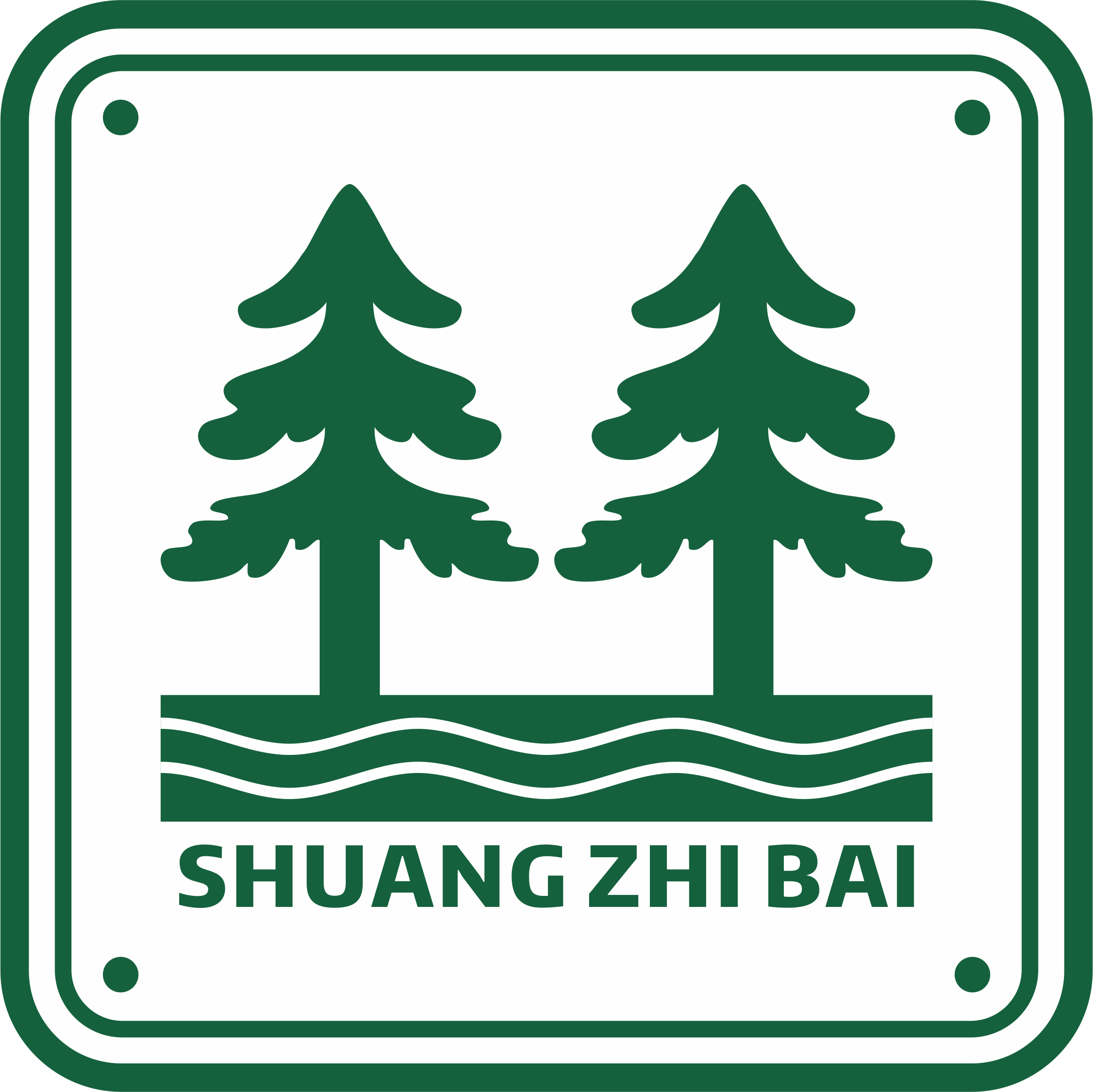 Foshan Shuangzhibai Decoration Materials Co., Ltd.