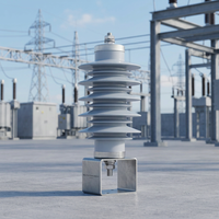 Penangkal Lonjakan Seri YH5W/6kV/9kV 10kA