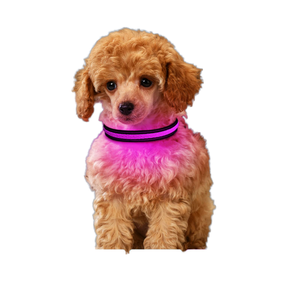 Collar de perro Lynpet Multicolor LED con luz, recargable, intermitente, resplandor, nailon sólido oscuro, Animal reflectante, Collar personalizado para mascotas - Product Image 1