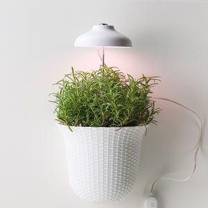 पौधे उगने वाले बल्ब ने ए 19/60 बल्ब बल्ब का नेतृत्व किया, इनडोर पौधा प्रकाश बल्ब e26/e27 बेस, इनडोर पौधे प्रकाश बढ़ता है - Product Image 1