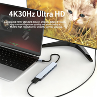 USB-C 7-Port Docking Station USB3.0 Hub Splitter HDTV 4K Screen Mirroring Device Type-C Converter Adapter for Computer Laptop