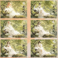 Cartes à collectionner créatives ChaoYe DS entièrement en acrylique, cartes de jeu de société Goddess Story, cartes à jouer de table