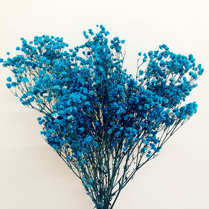 Vente en gros de fleurs préservées éternelles Babysbreath/Gypsophila 120 g/pack de qualité A pour la décoration intérieure et le bricolage - Product Image 4