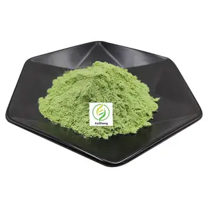 Extracto de planta a granel, extracto de Moringa en polvo, polvo orgánico de hoja de Moringa, polvo de Moringa