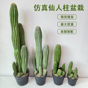 Plantes artificielles de cactus Dream Castle pour décoration intérieure au sol, style désert en plastique PUPE, verdure - Product Image 5