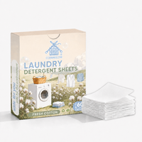 Feuilles de lessive écologiques sans plastique, directement de l'usine, pour un nettoyage durable du linge