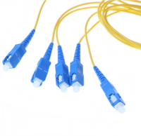 Divisor Óptico PLC SC/UPC 1x4, Caja de ABS de 1M con Conector, Tipo de Caja de Divisor de Fibra