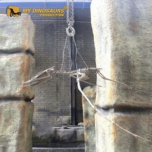 My Dino DS-115 Esqueleto Fósil de Dinosaurio Educativo Colgante de Pterodáctilo - Product Image 1