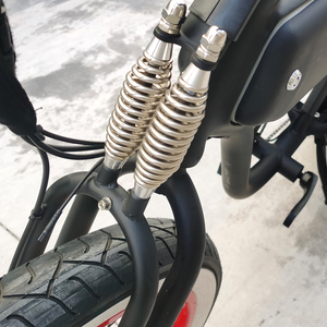 Triciclo Familiar con Llantas Anchas, Triciclo para Adultos con Motor Eléctrico y Sidecar - Product Image 4