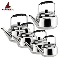 Bouilloire portable pour voyage, 250 ml, bouilloire de santé, style chaud