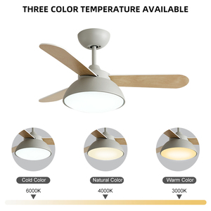 Nhà Sản Xuất Chuyên Nghiệp Hiện Đại Dc Mute Quạt Trần Với Đèn Chùm Ánh Sáng - Product Image 5