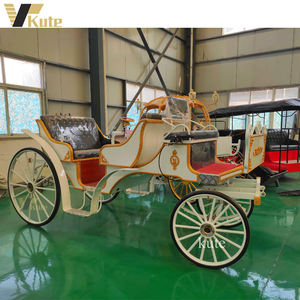 Carroza Eléctrica Elegante para Turismo en Venta - Product Image 4