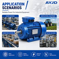 Moteur électrique asynchrone à induction triphasé à 6 pôles, 220 kW, 300 CV, à couple élevé, pour les travaux d'ingénierie principale dans l'exploitation minière