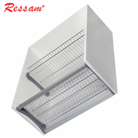 Ressam Armoire à 2 étages Séchoir à vaisselle en acier inoxydable Fentes à vaisselle Assiette de cuisine Bol Ustensiles Tasses Vidange