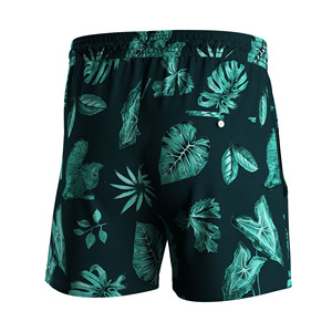 Shorts de plage décontractés pour hommes, légers, anti-frottement, longueur mi-cuisse, pour la pêche et le surf - Product Image 5