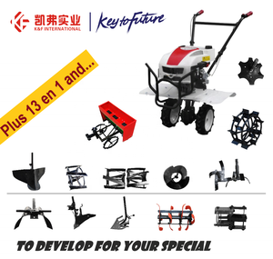 Tractor de mano pequeño de gasolina, motocultor eléctrico con regadera para granja, jardín, huerto, cultivador rotativo, novedad de 2020 - Product Image 6