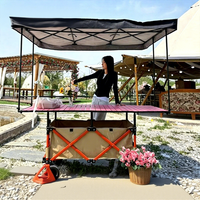 Plateforme de tente pare-soleil portable, chariot pliant pour camping, stand alimentaire, chariot à outils, véhicule de camping