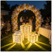 Vente en gros de boîtes cadeaux LED en alliage d'aluminium imperméables IP65 2700K, éclairage à intensité variable avec télécommande, thème Noël et Nouvel An