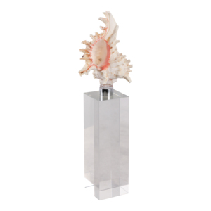 Scultura decorativa a forma di conchiglia su base di cristallo per decorazioni per la casa, figurina perfetta come complemento per bagno, ufficio o soggiorno - Product Image 2