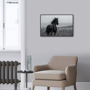 Ngựa Đen Trong Các Lĩnh vực sương mù khung nghệ thuật in tranh nghệ thuật - Product Image 2