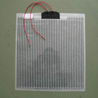 clear self regulating heating cable 10V