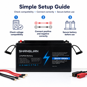 Batterie LiFePO4 25,6V 100Ah, BMS 100A, 2560Wh, 6000 cycles, idéale pour camping-car, marine, solaire hors réseau - Product Image 4