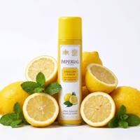 Brume parfumée longue durée à la lavande anglaise avec désodorisant double action 300ml en aérosol pour la vente en gros