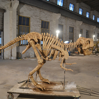 Chine Zigong Fabricant Réplique Artificielle Réelle Fossiles De Dinosaure Modèle Grand À Vendre