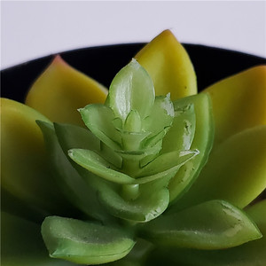 Hotsell granja flor <span class=keywords><strong>olla</strong></span> y la bandeja interior o por diaria en casa Decoración - Product Image 6