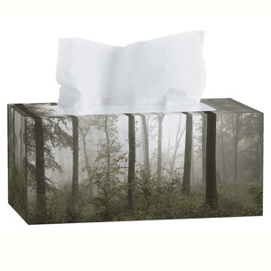 Tùy chỉnh giá rẻ 2-3 ply Facial hộp mô giấy - Product Image 3