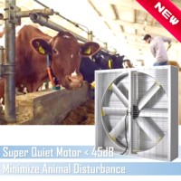 Grands Ventilateurs de Ventilation Muraux pour Élevage Avicole Industriel 1360 mm, Alimentés en Courant Continu Solaire, Moteur de Refroidissement d'Air, Évacuation pour Système CVC