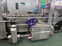 Automatische belwasmachine voor fruit, groenten, bladeren en rode dadels, reinigings- en drooglijn, spuitwasmachine, motor, roestvrij staal, hoogwaardig