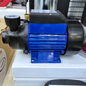 <span class=keywords><strong>12V</strong></span> 0.24HP <span class=keywords><strong>Bomba</strong></span> <span class=keywords><strong>de</strong></span> <span class=keywords><strong>agua</strong></span> <span class=keywords><strong>de</strong></span> superficie <span class=keywords><strong>de</strong></span> CC solar <span class=keywords><strong>de</strong></span> baja presión <span class=keywords><strong>Bomba</strong></span> solar <span class=keywords><strong>de</strong></span> red <span class=keywords><strong>Bomba</strong></span> <span class=keywords><strong>de</strong></span> <span class=keywords><strong>agua</strong></span> solar <span class=keywords><strong>para</strong></span> agricultura - Product Image 5