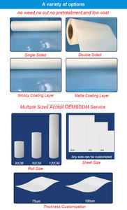 Dtf Chuyển Sheets A3 A4 A3 + Pet Sheets Trực Tiếp Để Phim In Ấn Trên Máy Tính Để Bàn Dtf Máy In L1800 13*19 Inch Dtf Phim - Product Image 5